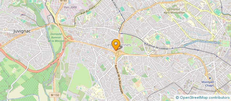 localisation de l'entreprise NIGRITELLE à MONTPELLIER