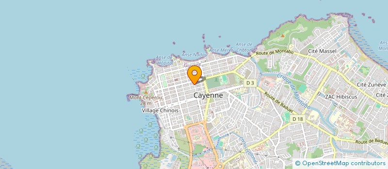 localisation de l'entreprise NINA  CAYENNE