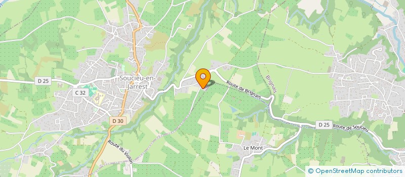 localisation de l'entreprise NINA C.A  SOUCIEU-EN-JARREST