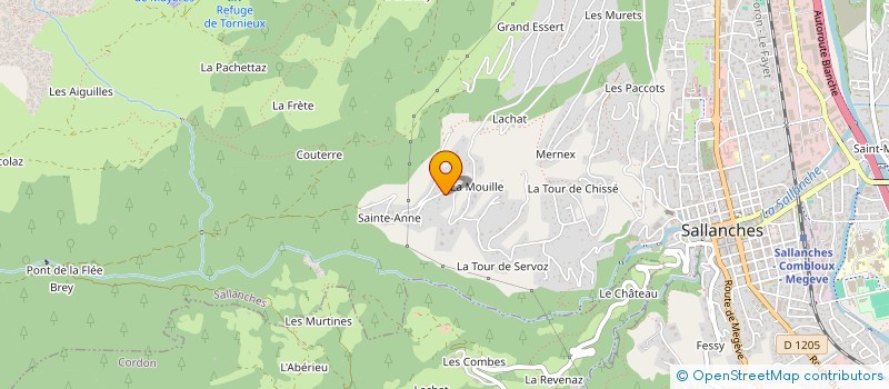 localisation de l'entreprise NINET à SALLANCHES