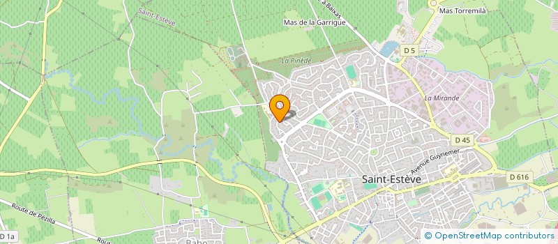 localisation de l'entreprise NININE  SAINT-ESTEVE