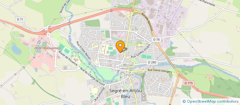 localisation de l'entreprise NITESCENCE ESPORTS à SEGRE-EN-ANJOU BLEU