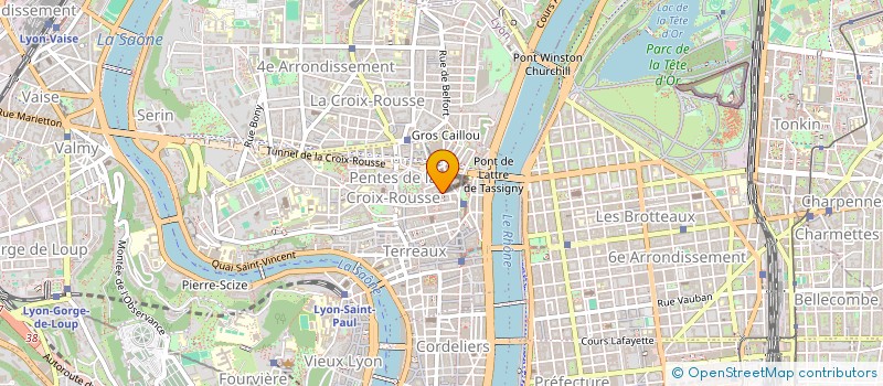 localisation de l'entreprise NITIDAE à LYON