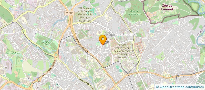 localisation de l'entreprise NJIMA à MONTPELLIER
