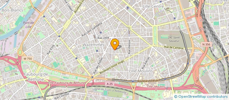 localisation de l'entreprise NK-MISSIONS CABINET DE RECRUTEMENT ET CONSEIL RH à LILLE