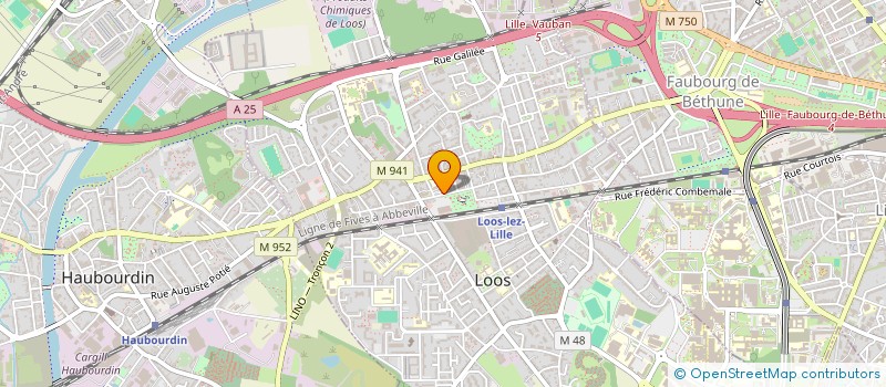 localisation de l'entreprise NKOA SMARZYK  LOOS