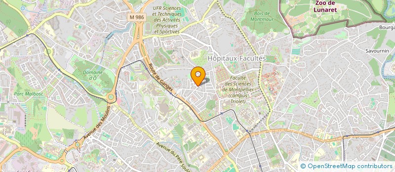localisation de l'entreprise NL CONSULT à MONTPELLIER
