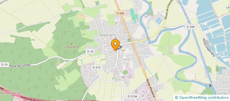 localisation de l'entreprise NLV INVESTISSEMENTS  APPOIGNY