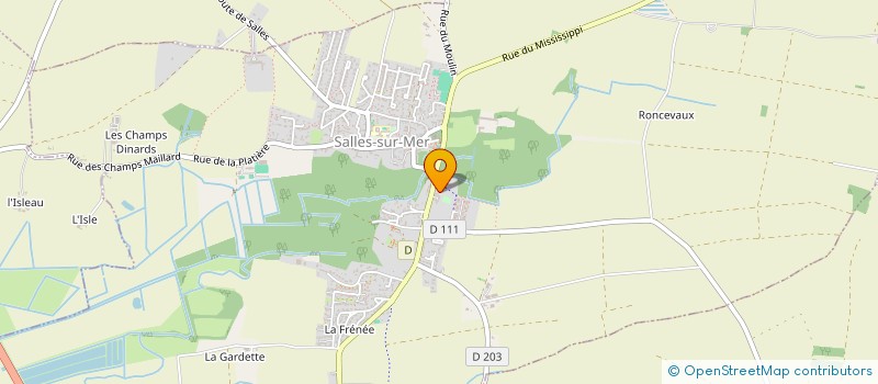 localisation de l'entreprise NO PAIN NO GAME  SALLES-SUR-MER