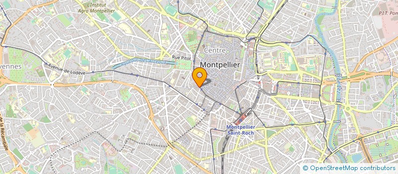 localisation de l'entreprise NORDIK MARKET à MONTPELLIER