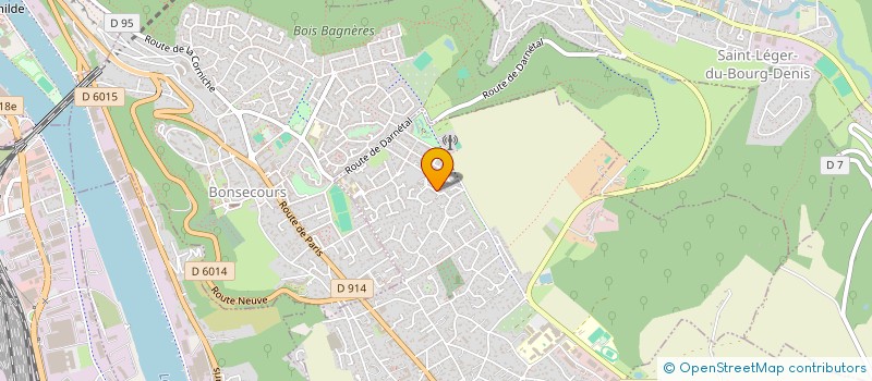 localisation de l'entreprise NORMANSEINE  LE MESNIL-ESNARD