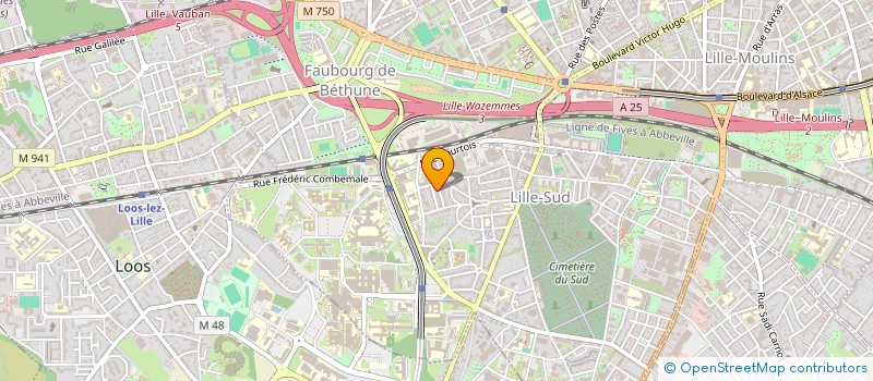 localisation de l'entreprise NORTH MAN SOUL  LILLE