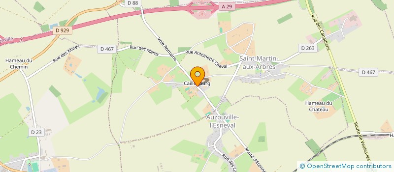 localisation de l'entreprise NORVIE  SAINT-MARTIN-AUX-ARBRES