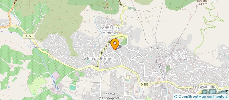localisation de l'entreprise NOUVEAU DEPART à BORMES-LES-MIMOSAS