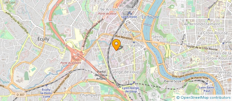 localisation de l'entreprise NOUVEAUX DEVELOPPEMENTS STRATEGIES  LYON