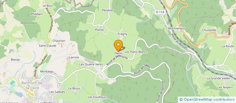 localisation de l'entreprise NOUVELESPACE  BELMONT-DE-LA-LOIRE