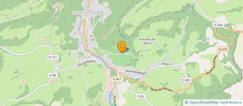 localisation de l'entreprise NOUVELLE SCIERIE BUFFARD à LA CHAPELLE-SUR-FURIEUSE