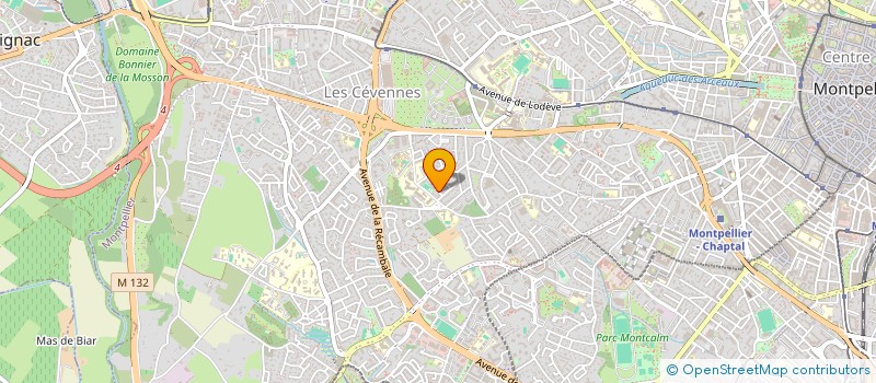 localisation de l'entreprise NOUVELLES ECRITURES FRANCOPHONES à MONTPELLIER