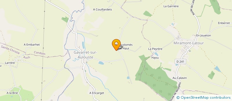 localisation de l'entreprise NP 32  MONTESTRUC-SUR-GERS