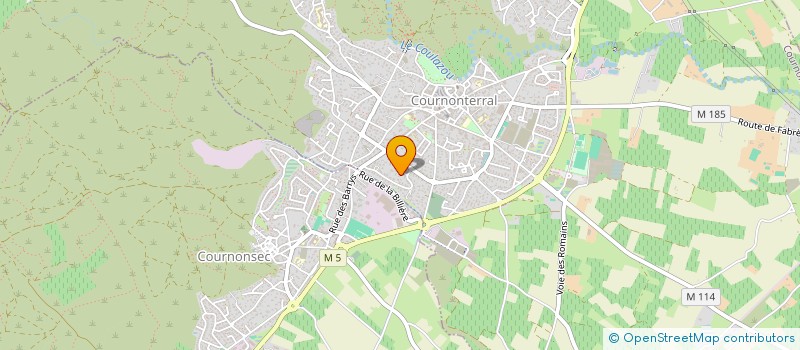 localisation de l'entreprise NP SERVICES  COURNONTERRAL