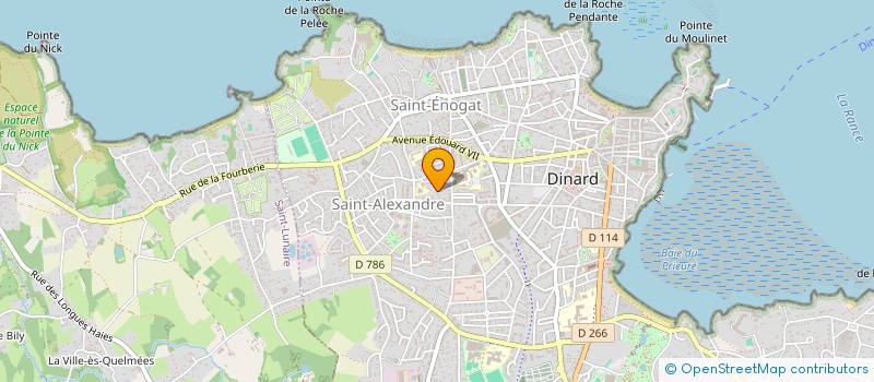 localisation de l'entreprise NPC  DINARD