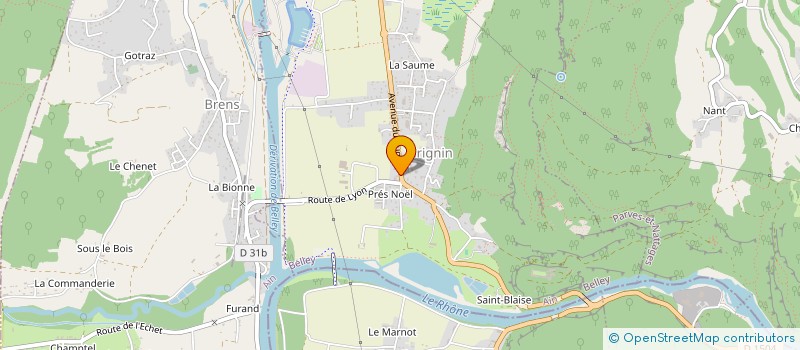 localisation de l'entreprise NPGP  VIRIGNIN