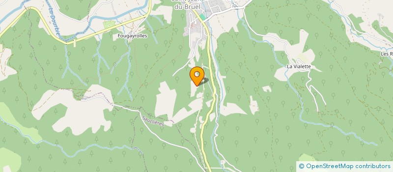 localisation de l'entreprise NPK MULTISERVICES  SAINT-JEAN-DU-BRUEL