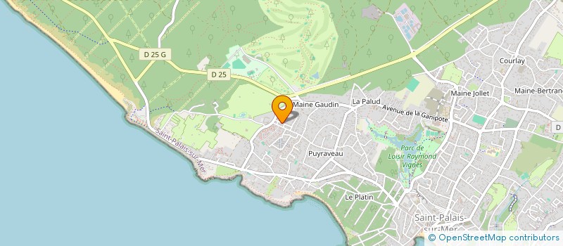 localisation de l'entreprise NPM  SAINT-PALAIS-SUR-MER