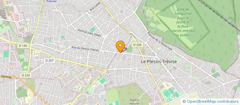 localisation de l'entreprise NS CONSUL'T à LE PLESSIS-TREVISE