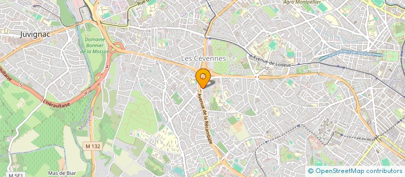 localisation de l'entreprise NSSA INVEST  MONTPELLIER