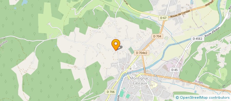 localisation de l'entreprise NTDV IMMO  MONTIGNAC-LASCAUX