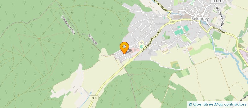 localisation de l'entreprise NUANCE PLUS à SELONGEY