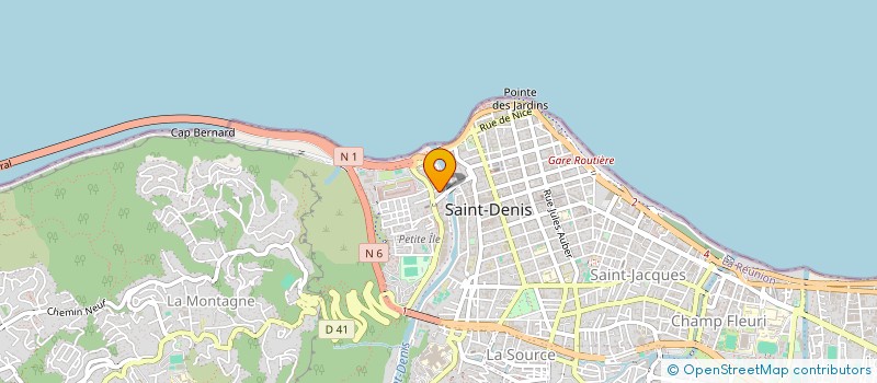 localisation de l'entreprise NUANCES DE VERT à SAINT-DENIS