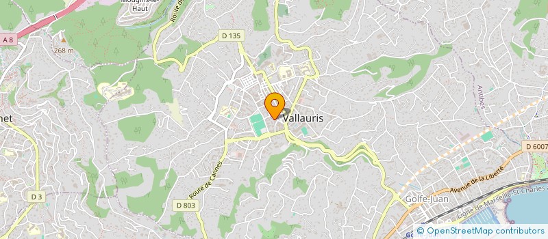 localisation de l'entreprise NUCAN  VALLAURIS