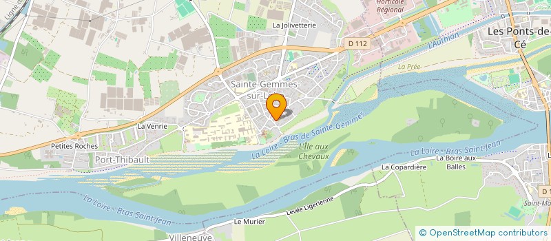 localisation de l'entreprise NUMERO 38 à SAINTE-GEMMES-SUR-LOIRE