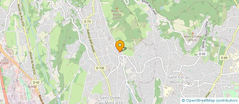 localisation de l'entreprise NYLTS RACERS  SAINT-DIDIER-AU-MONT-D'OR