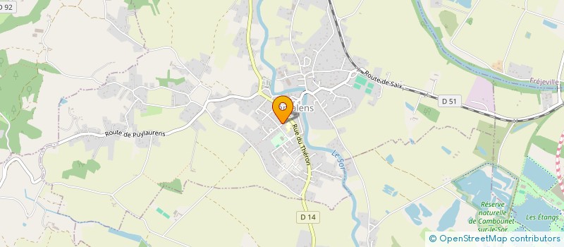 localisation de l'entreprise NZPIE  SEMALENS