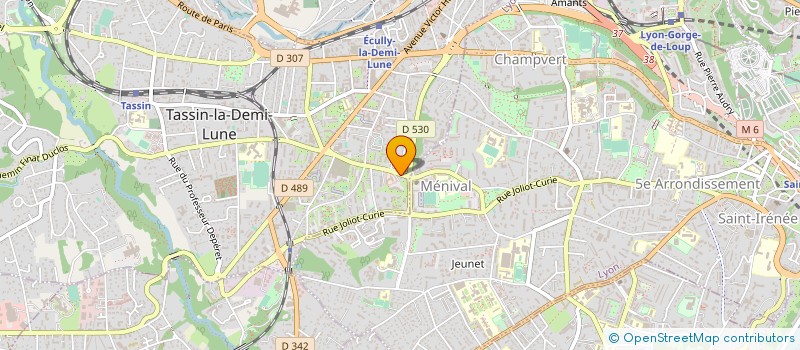 localisation de l'entreprise NZT 26  TASSIN-LA-DEMI-LUNE