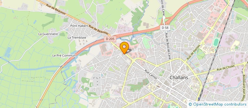 localisation de l'entreprise O FOLLES PAPILLES à CHALLANS