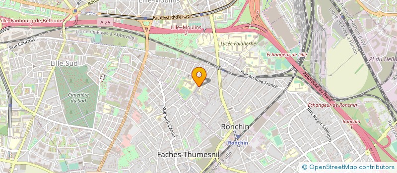localisation de l'entreprise O NAILS VIP à LILLE