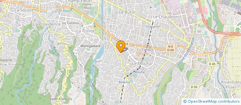 localisation de l'entreprise O PAIN DORE à SAINT-DENIS
