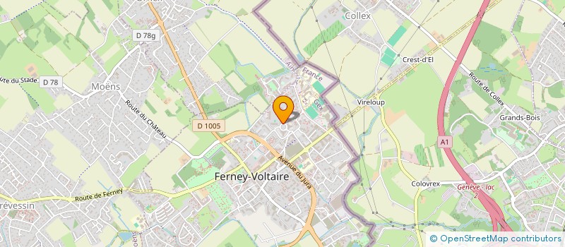 localisation de l'entreprise O.SC.AR DEV-OPT à FERNEY-VOLTAIRE