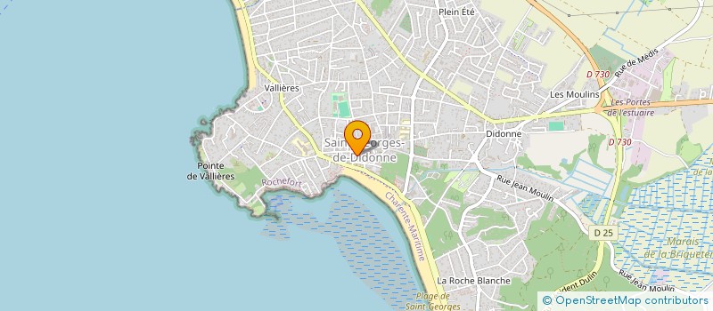 localisation de l'entreprise O TEMPS PRECIEUX à SAINT-GEORGES-DE-DIDONNE