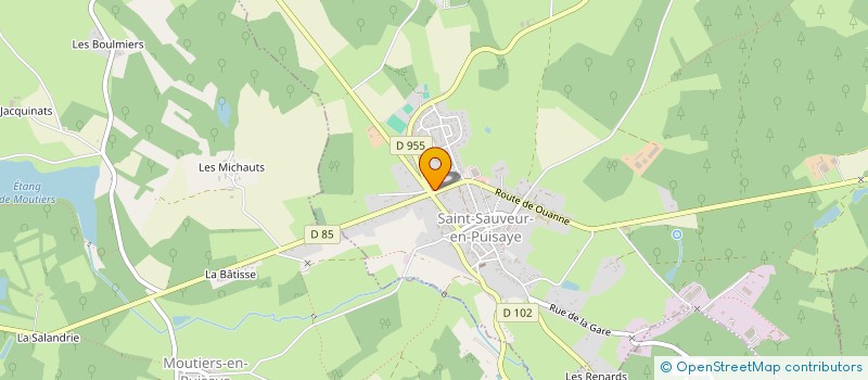 localisation de l'entreprise OBIGNY EN SOLOGNE  SAINT-SAUVEUR-EN-PUISAYE