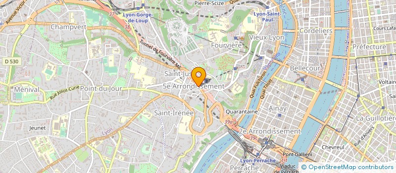 localisation de l'entreprise OBSERVATOIRE DES ARMEMENTS / CDRPC (CENTRE DE DOCUMENTATION ET DE RECHERCHE SUR LA PAIX ET LES CONFLITS) à LYON 5EME