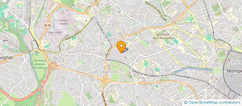 localisation de l'entreprise OCCITANIE SECURITE à MONTPELLIER