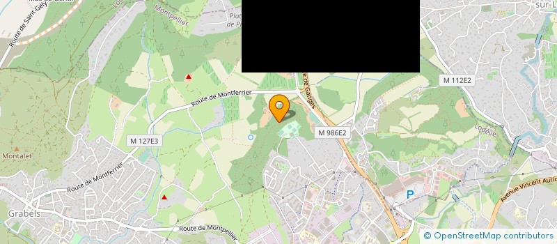 localisation de l'entreprise OCCITANIE SERVICES  GRABELS