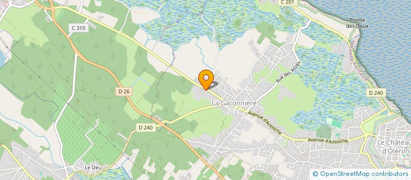 localisation de l'entreprise OCEAN  LE CHATEAU-D'OLERON