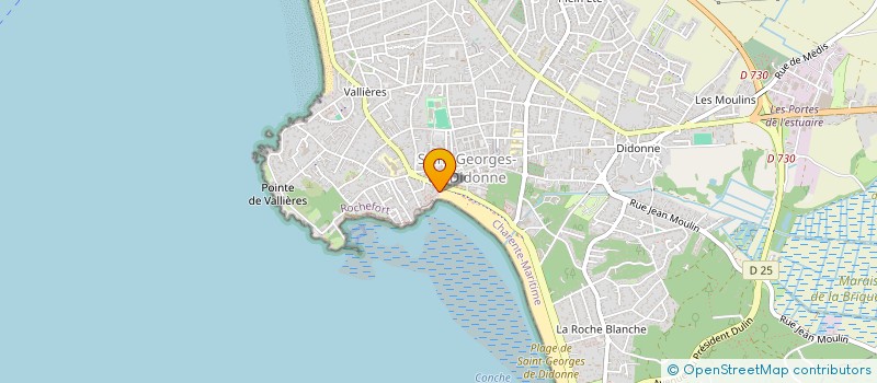 localisation de l'entreprise OCEAN GLACES  SAINT-GEORGES-DE-DIDONNE