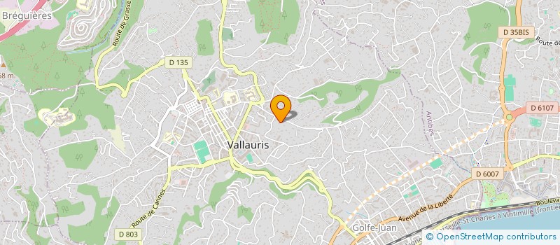 localisation de l'entreprise OCTANA à VALLAURIS